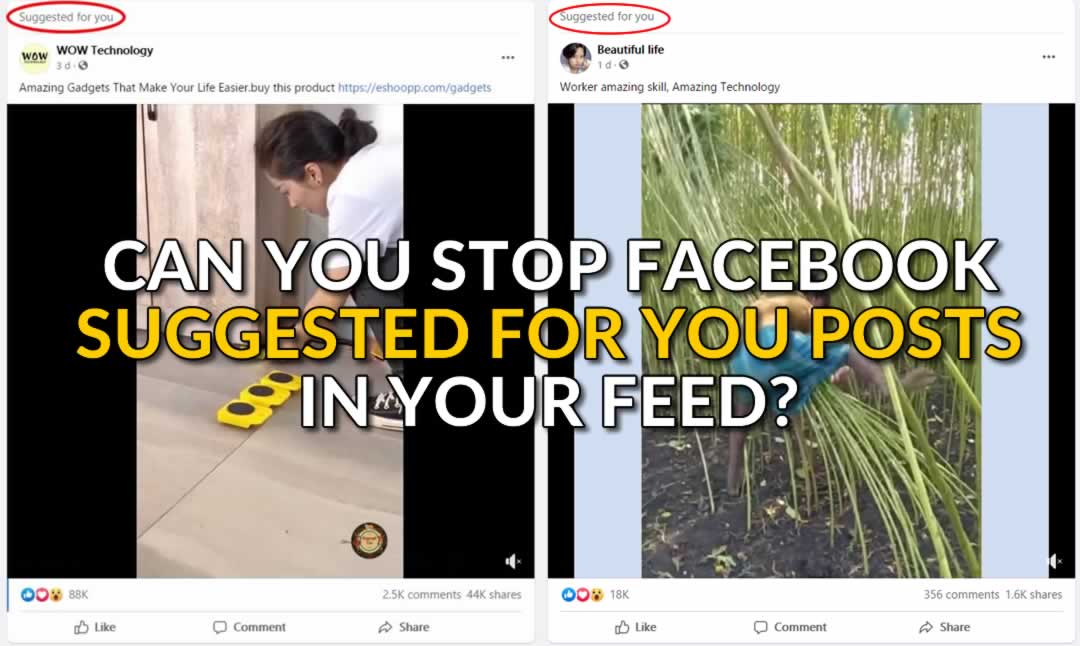 Facebook Suggested For You Posts In The Feed