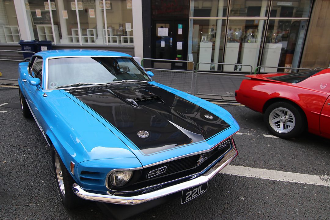 Shelby American Muscle at NE1 Car Show