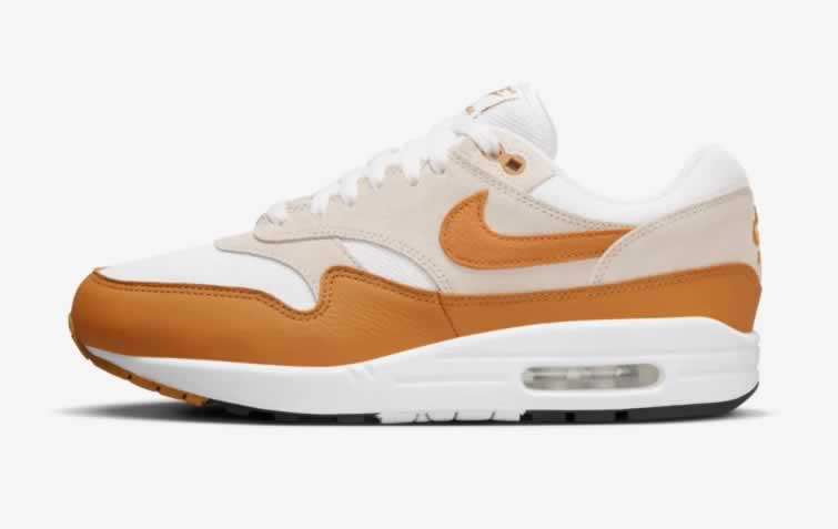 Nike Air Max 1 Bronze